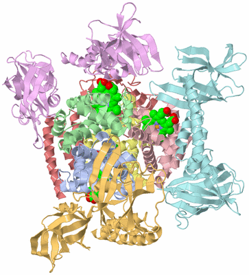 Image Asym./Biol. Unit