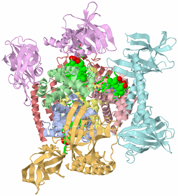 Image Asym./Biol. Unit - sites