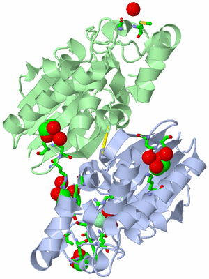 Image Asym./Biol. Unit - sites