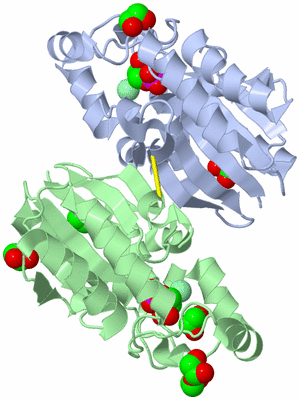 Image Asym./Biol. Unit