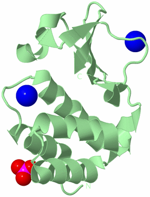 Image Biological Unit 2