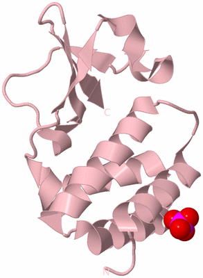 Image Biological Unit 3