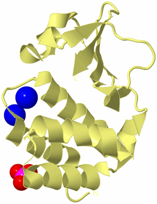 Image Biological Unit 4