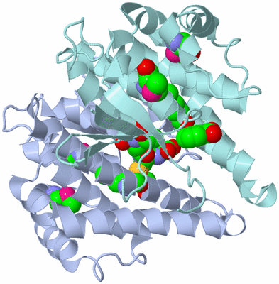 Image Biological Unit 1