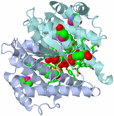 Image Biol. Unit 1 - sites