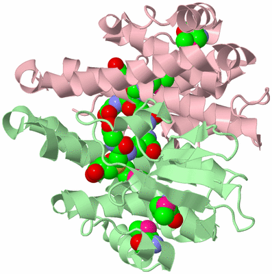 Image Biological Unit 2