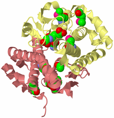 Image Biological Unit 3