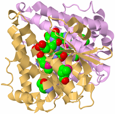 Image Biological Unit 4