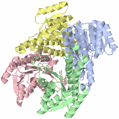 Image Asym./Biol. Unit