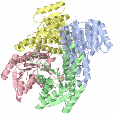 Image Asym./Biol. Unit - sites