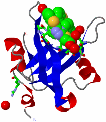 Image Asym./Biol. Unit - sites