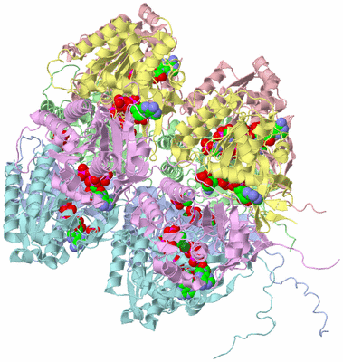 Image Asym./Biol. Unit