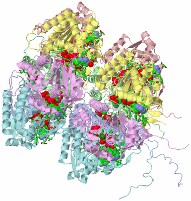 Image Asym./Biol. Unit - sites