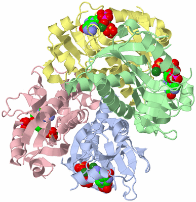 Image Asym./Biol. Unit