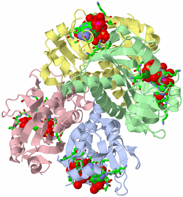 Image Asym./Biol. Unit - sites