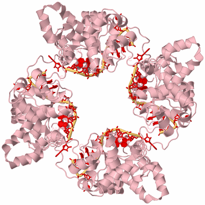 Image Biological Unit 3