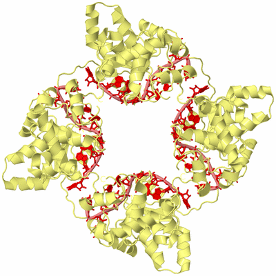 Image Biological Unit 4