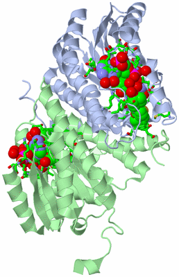 Image Biol. Unit 1 - sites