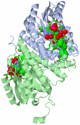 Image Biol. Unit 1 - sites