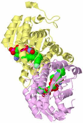 Image Biological Unit 2