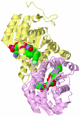 Image Biological Unit 2