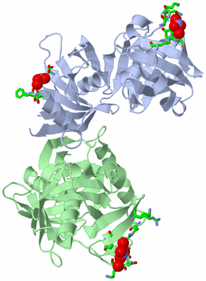 Image Asym./Biol. Unit - sites