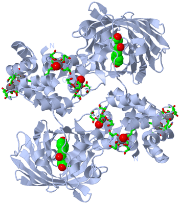 Image Biol. Unit 1 - sites