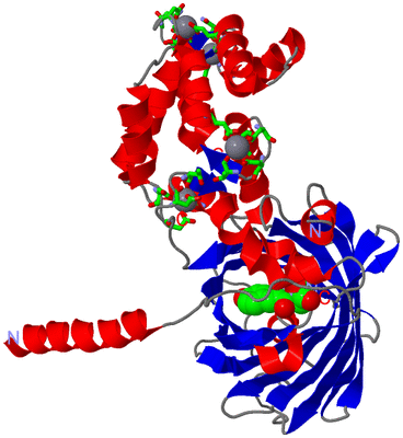 Image Asym. Unit - sites