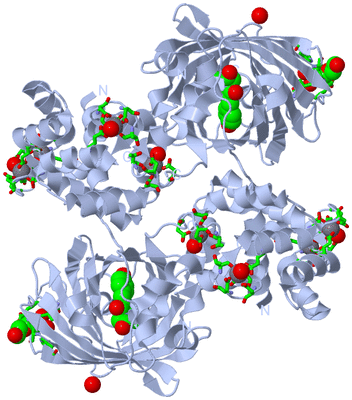 Image Biol. Unit 1 - sites