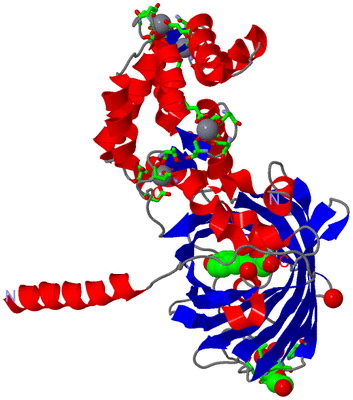 Image Asym. Unit - sites