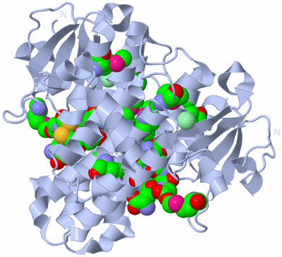 Image Biological Unit 1