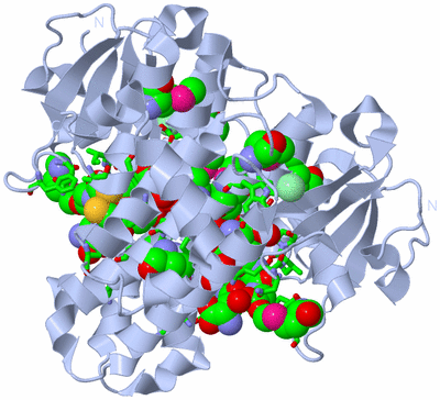 Image Biol. Unit 1 - sites