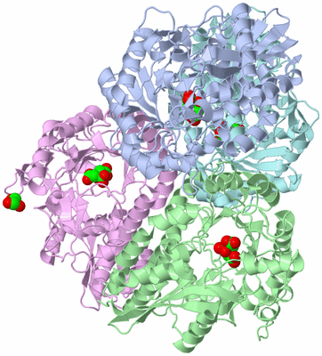 Image Biological Unit 1