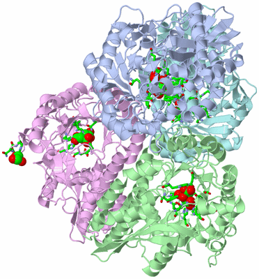 Image Biol. Unit 1 - sites