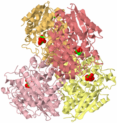 Image Biological Unit 2