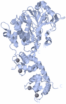 Image Biological Unit 1