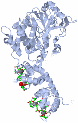 Image Biol. Unit 1 - sites