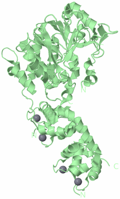 Image Biological Unit 2