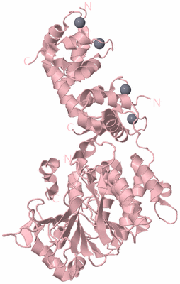 Image Biological Unit 3