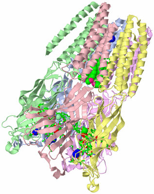 Image Asym./Biol. Unit - sites