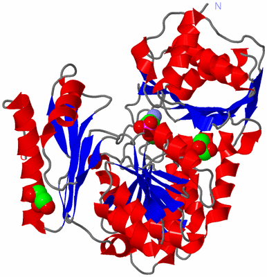 Image Asym./Biol. Unit