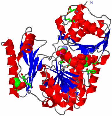 Image Asym./Biol. Unit - sites