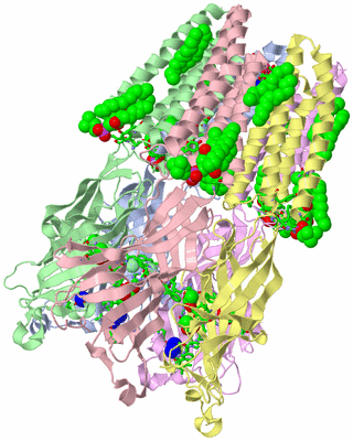 Image Asym./Biol. Unit - sites