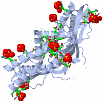 Image Biol. Unit 1 - sites