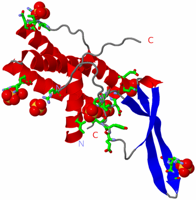 Image Asym. Unit - sites