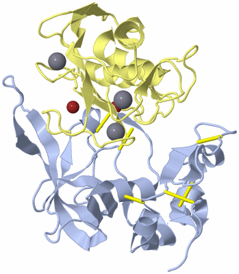 Image Biological Unit 1