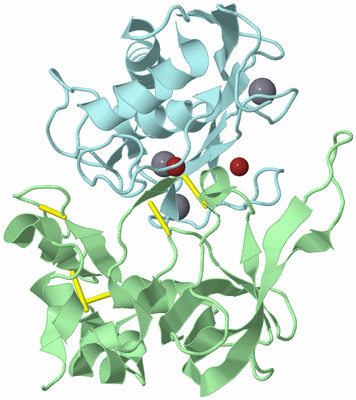 Image Biological Unit 2