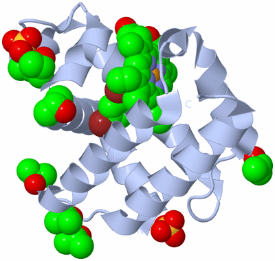 Image Biological Unit 2