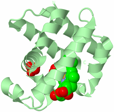 Image Biological Unit 3