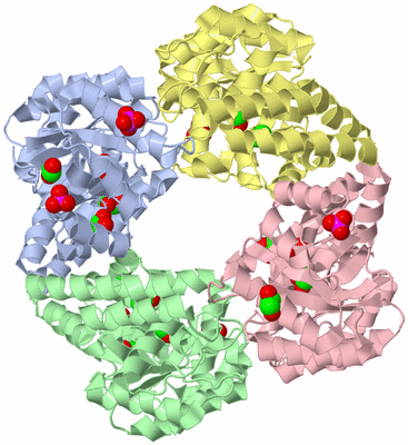 Image Asym./Biol. Unit